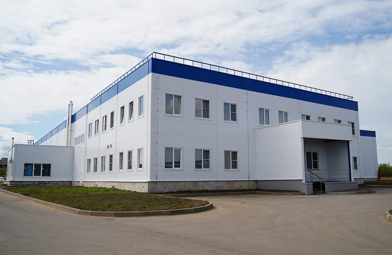 Метавр